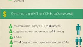 Что нужно сдавать ИП без работников в Инсити