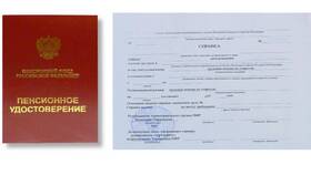 Что выдают вместо пенсионного удостоверения в Инсити
