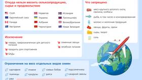 Что является основной целью введения экспортных пошлин в Инсити