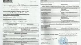 Как оформить ИП: пошаговая инструкция в Инсити