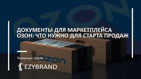 Как открыть продажи на Ozon Seller в Инсити