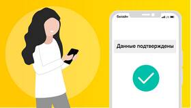 Как отправить данные через Билайн в Инсити