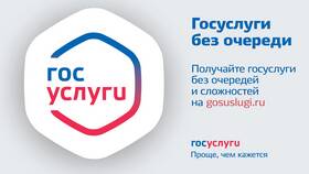 Как подать персональные данные через портал Госуслуги в Инсити