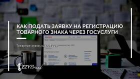 Как подать заявку на газификацию через Госуслуги в Инсити