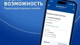 Как поменять номер паспорта в билете Аэрофлота в Инсити