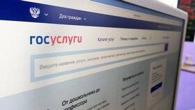 Как позвонить на горячую линию Госуслуг в Инсити