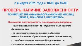 Как проверить наличие налоговой задолженности в Инсити