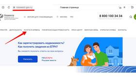 Как проверить номер документа в МФЦ в Инсити