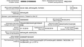 Как собрать документы для визы в Инсити