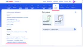 Как установить запрет на кредиты через Госуслуги в Инсити