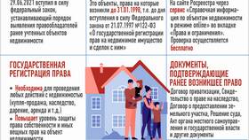 Как узнать ЕГРН организации в Инсити