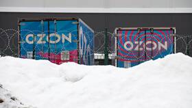 Когда закроют Ozon: анализ перспектив компании в Инсити