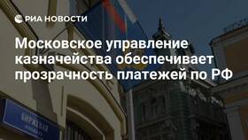 Почему Казначейство не пропускает платежи в Инсити