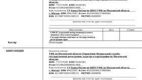 Почему нужно платить государственную пошлину в Инсити