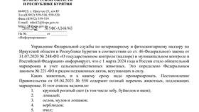 Причины существования двух форм справки 2-НДФЛ в Инсити