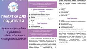 Штрафы для юридических лиц: особенности административной ответственности в Инсити