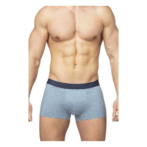 Трусы мужские SERGIO DALLINI SD2903 синие L в Инсити